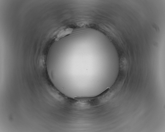 X0000111000280200907022143