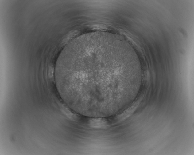 X0000111000281200907022143