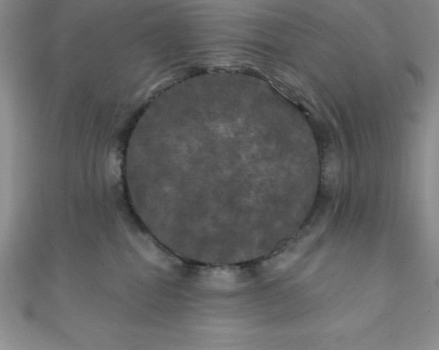 X0000111000282200907022143