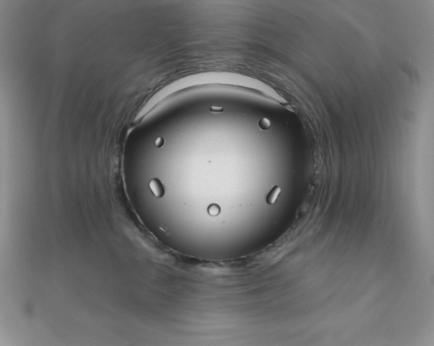 X0000111000284200907022143