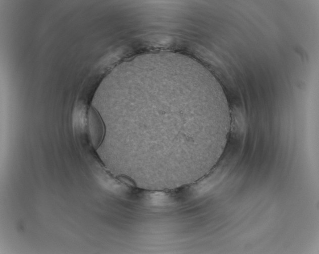 X0000111000287200907022143