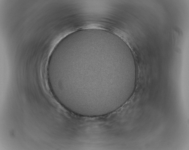 X0000111000289200907022143