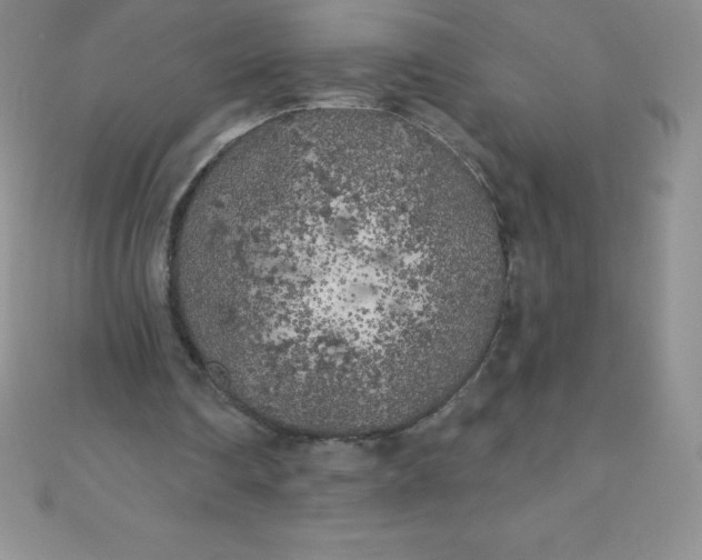 X0000111000290200907022143