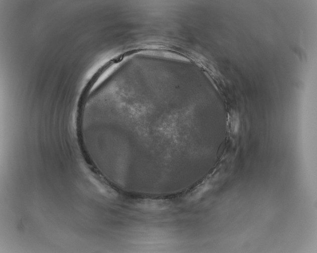 X0000111000292200907022143