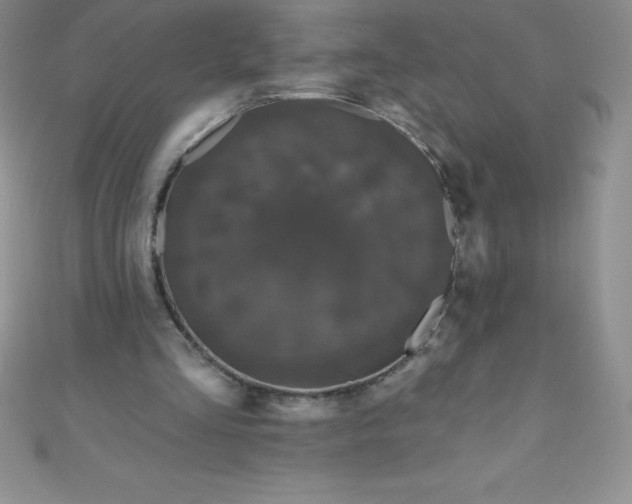 X0000111000293200907022143