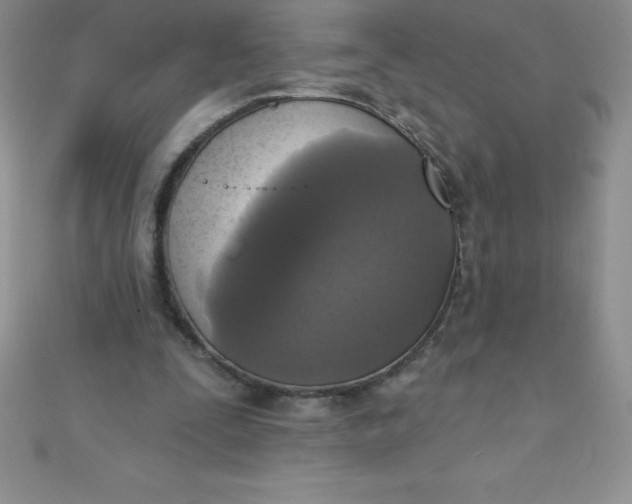 X0000111000295200907022143