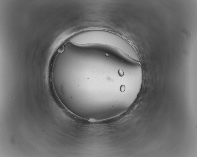 X0000111000296200907022143