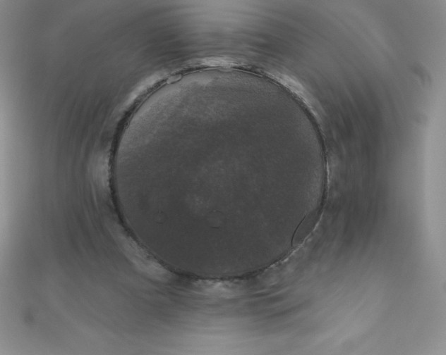 X0000111000297200907022143