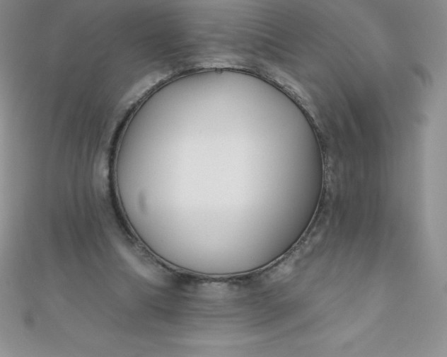 X0000111000298200907022143