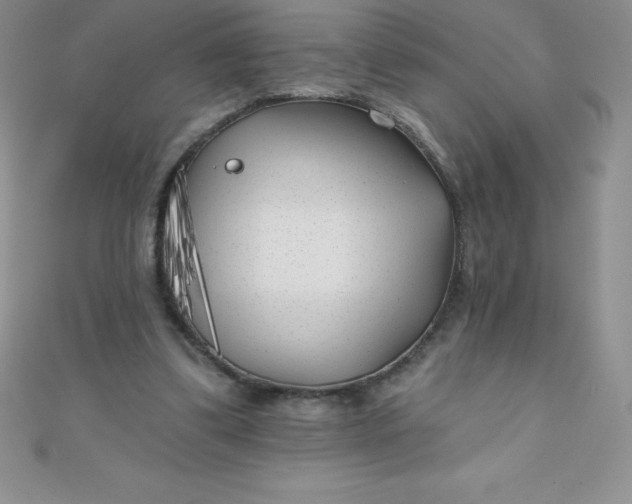 X0000111000299200907022143