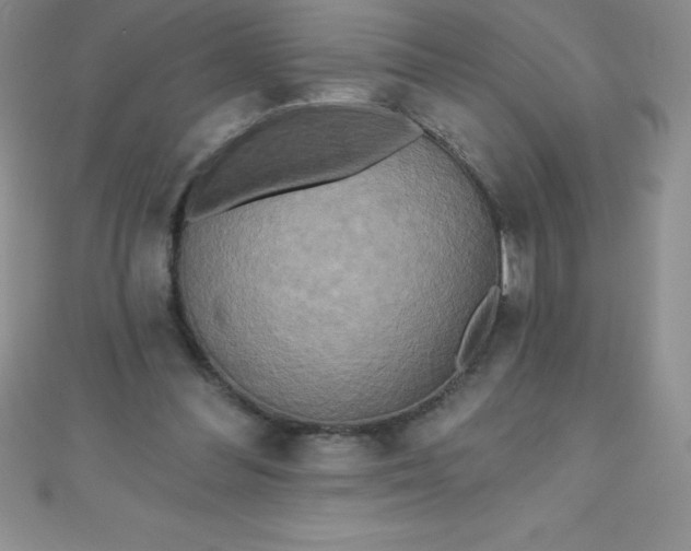 X0000111000300200907022143