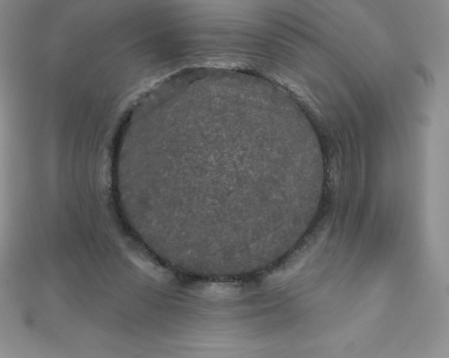 X0000111000303200907022143