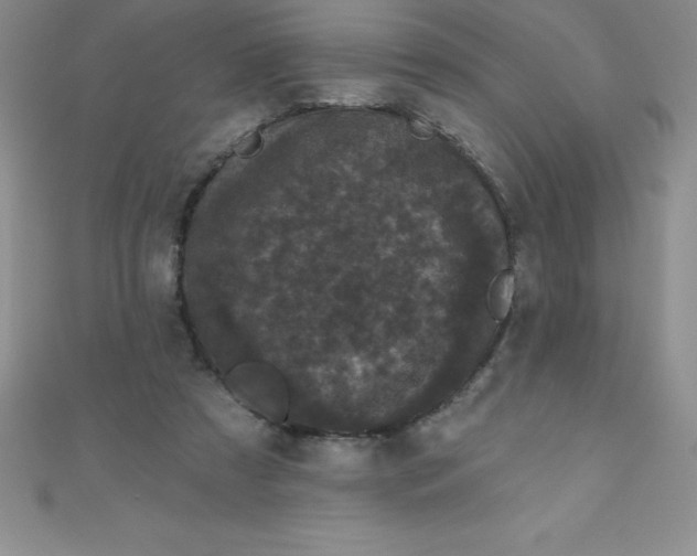 X0000111000305200907022143