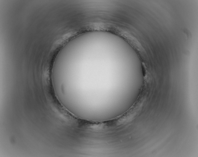 X0000111000306200907022143