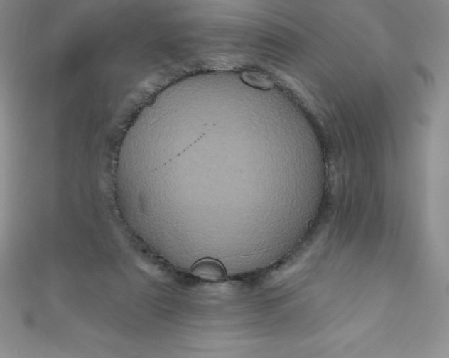 X0000111000307200907022143