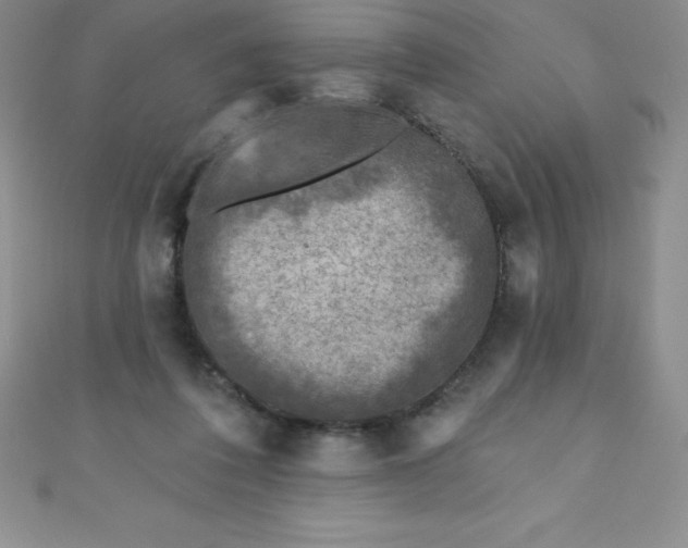 X0000111000308200907022143