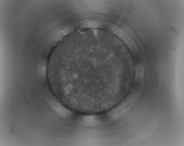 X0000111000309200907022143