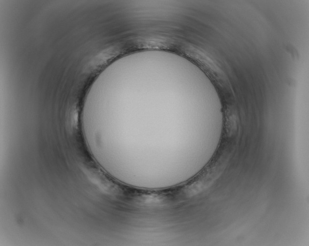 X0000111000310200907022143