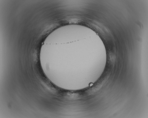 X0000111000311200907022143