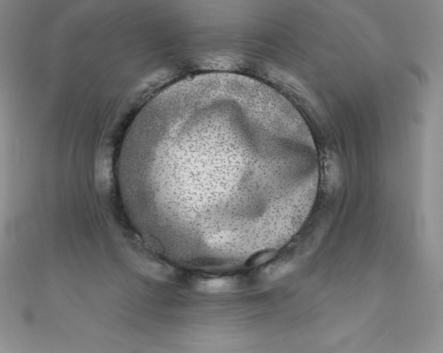 X0000111000312200907022143