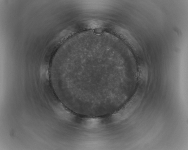 X0000111000313200907022143