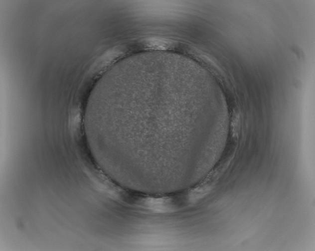 X0000111000314200907022143