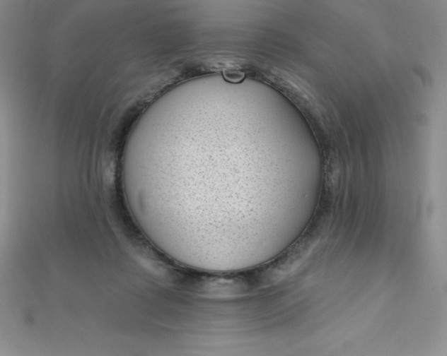 X0000111000315200907022142