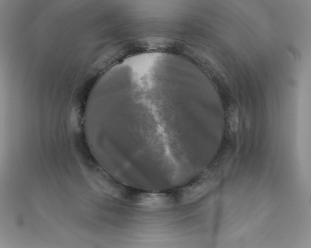 X0000111000316200907022142