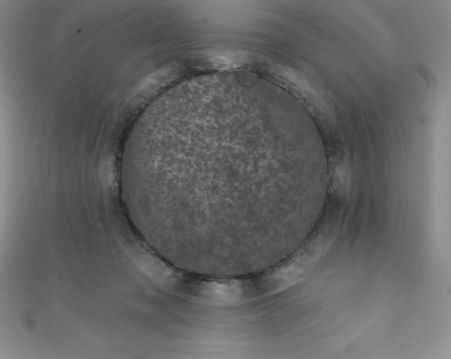 X0000111000317200907022142