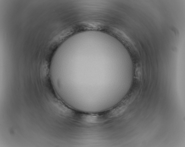 X0000111000318200907022142