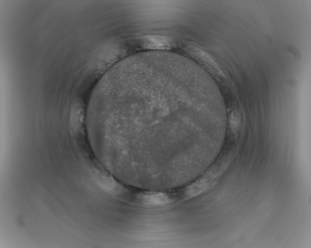 X0000111000322200907022142