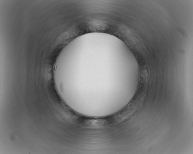 X0000111000323200907022142