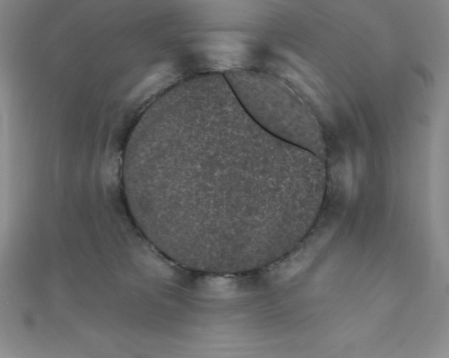 X0000111000325200907022142