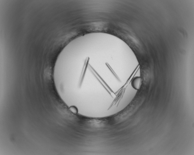 X0000111000326200907022142