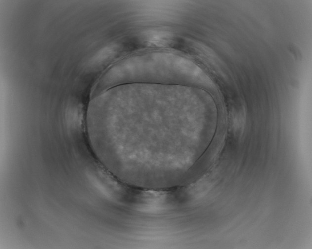 X0000111000328200907022142