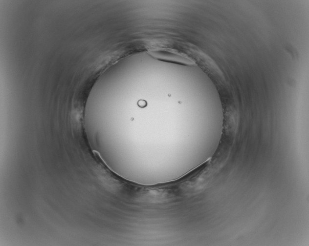 X0000111000329200907022142