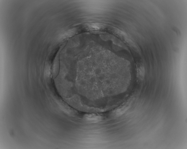 X0000111000331200907022142