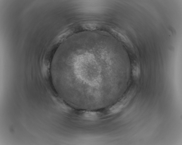 X0000111000332200907022142