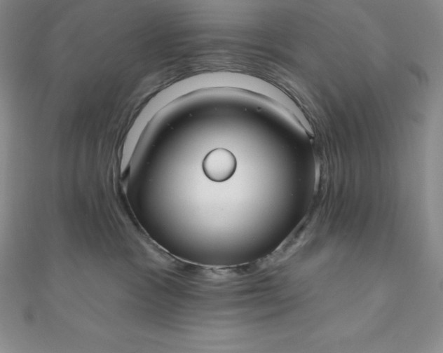 X0000111000333200907022142