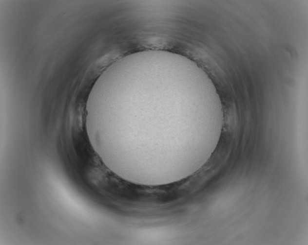 X0000111000334200907022142