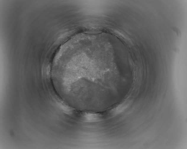 X0000111000336200907022142