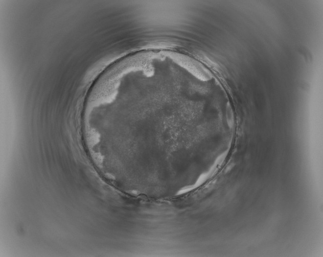 X0000111000337200907022141