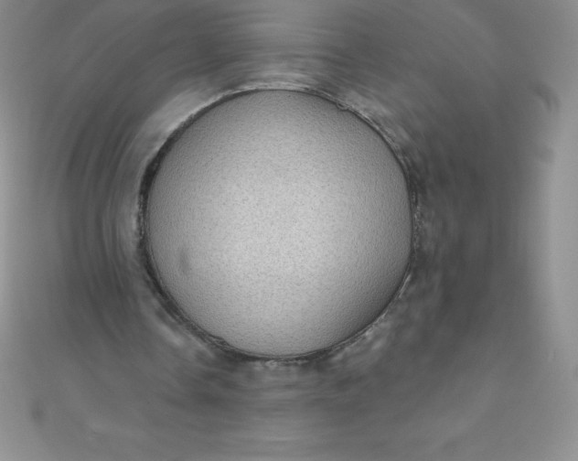 X0000111000338200907022141