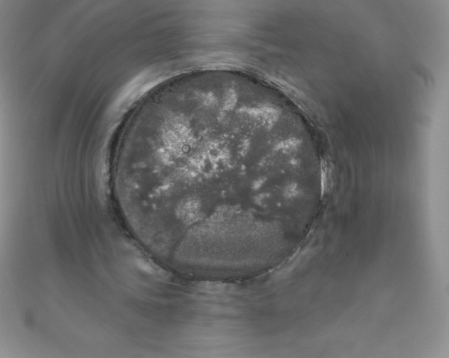 X0000111000339200907022141