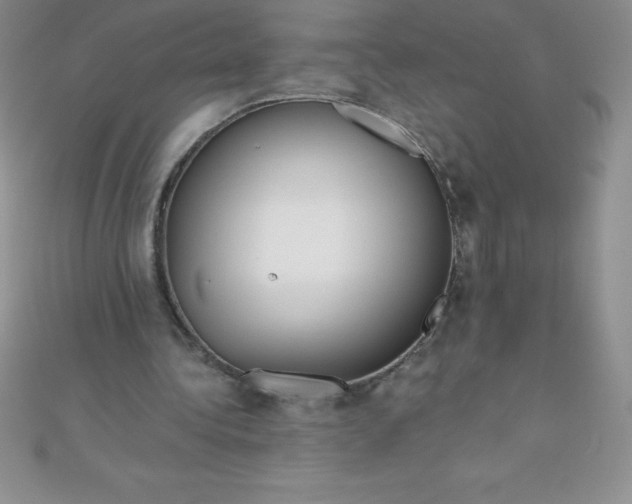 X0000111000340200907022141