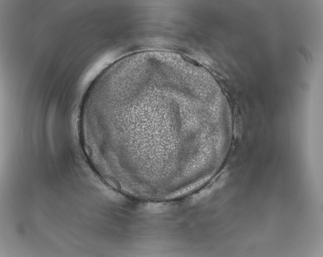 X0000111000341200907022141