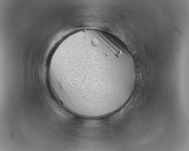 X0000111000342200907022142