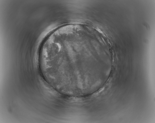 X0000111000343200907022142