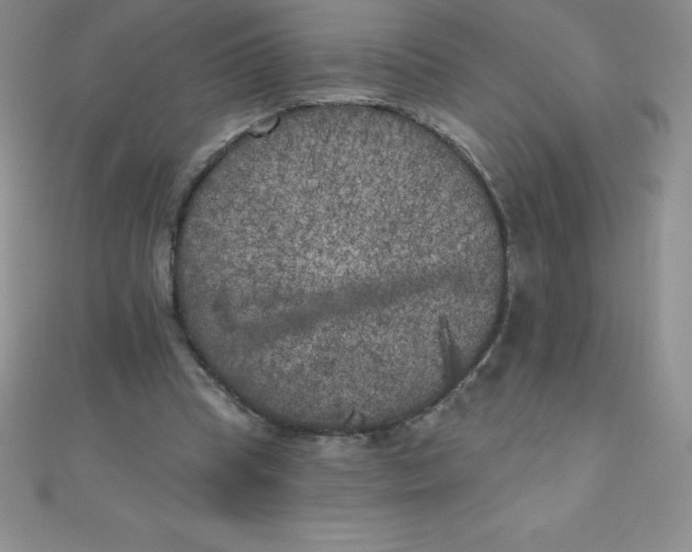 X0000111000345200907022142