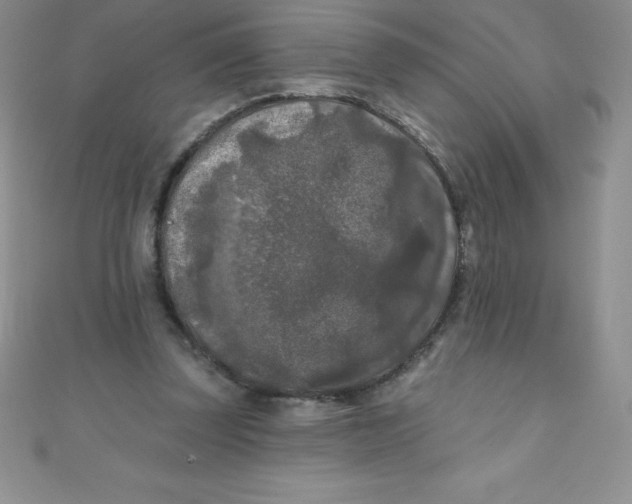 X0000111000347200907022142